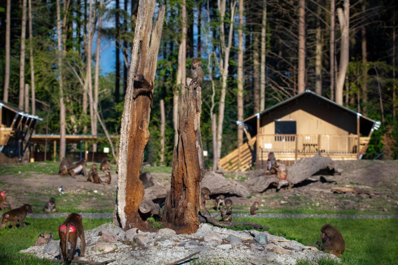 Knuthenborg Safaripark Hotel Maribo Exterior photo