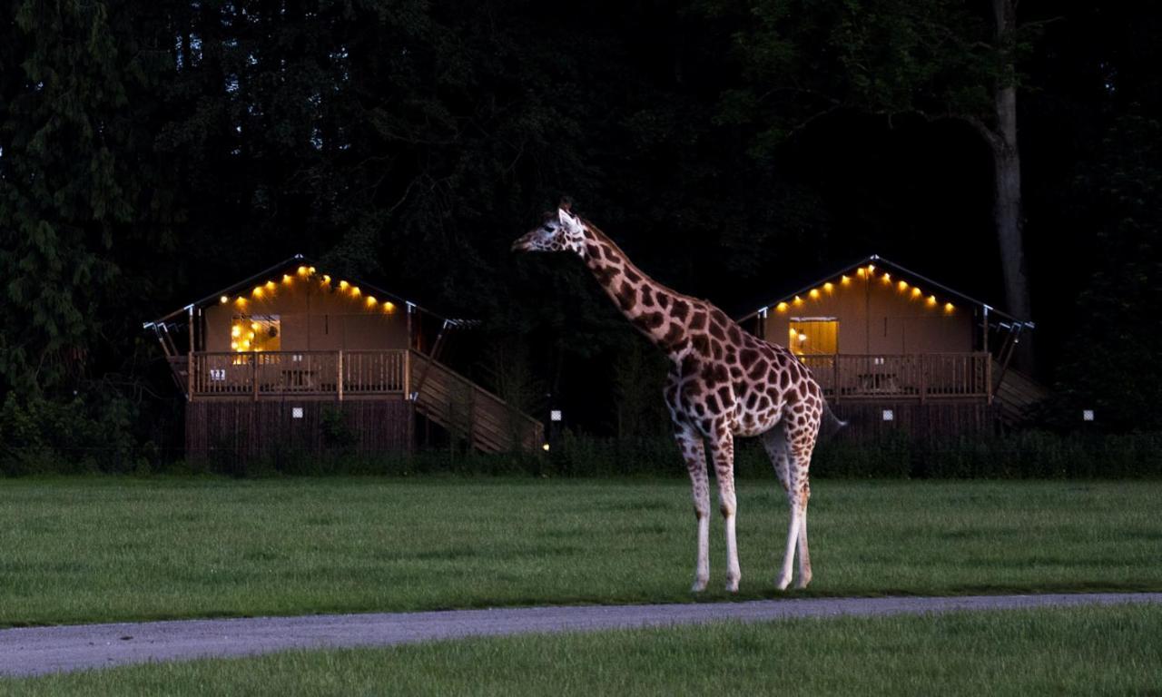 Knuthenborg Safaripark Hotel Maribo Exterior photo
